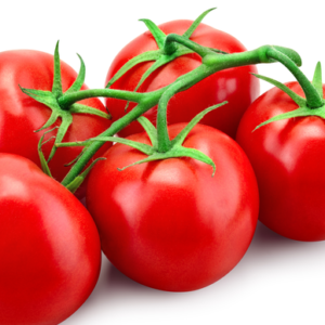 Tomato