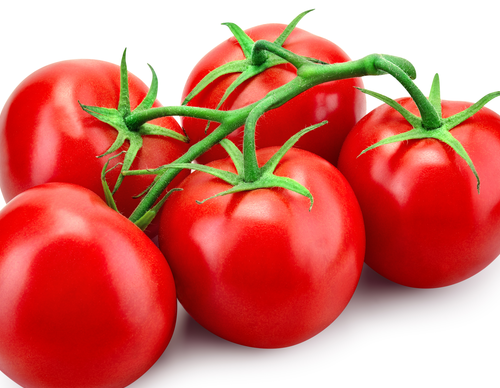 Tomato